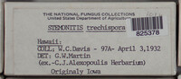 Image Associated With the Occurence